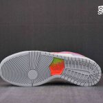 Giày Nike SB Dunk Low Pro Be True Xavier Schipani Best Quality