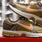 Giày Nike Zoom Vomero 5 Wheat Grass Cacao Wow Best Quality